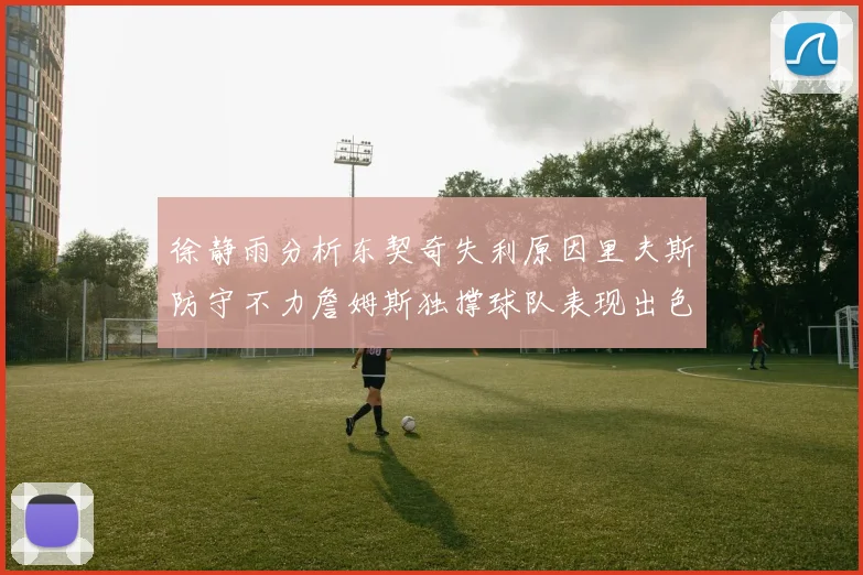 徐静雨分析东契奇失利原因里夫斯防守不力詹姆斯独撑球队表现出色
