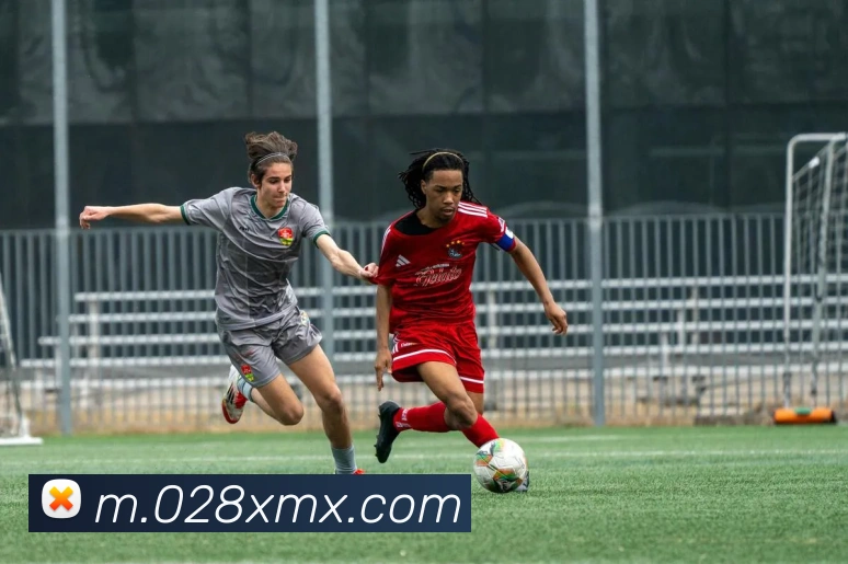 kaiyun体育官网发展历程